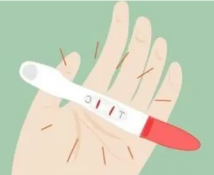 排卵期为什么更容易受孕？