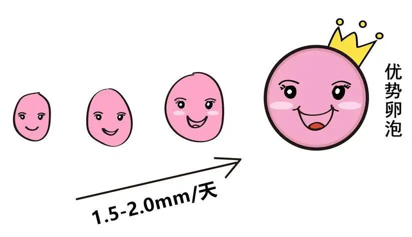 武汉吃什么可以保护卵巢早衰，要坚持多久才能看到效果呢？