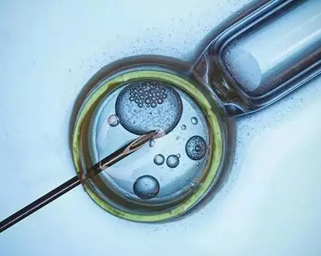 促排的时候卵泡的发育分为几个阶段？