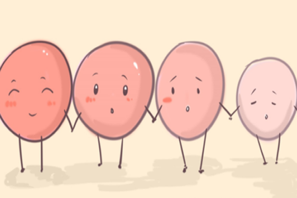 卵泡的形状可以判断生男生女？