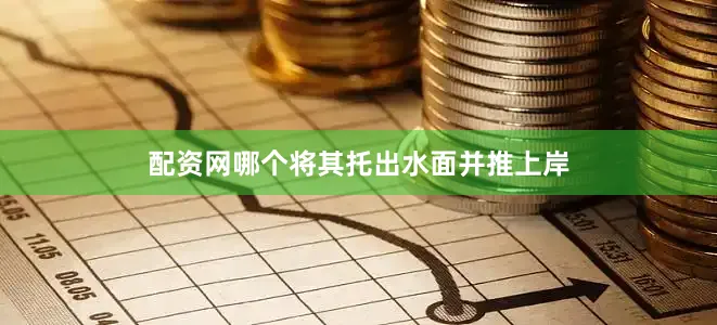 配资网哪个将其托出水面并推上岸
