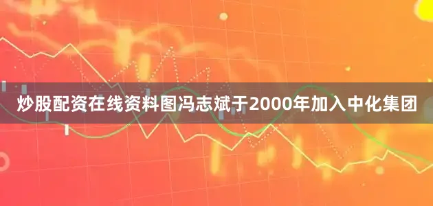 炒股配资在线资料图冯志斌于2000年加入中化集团