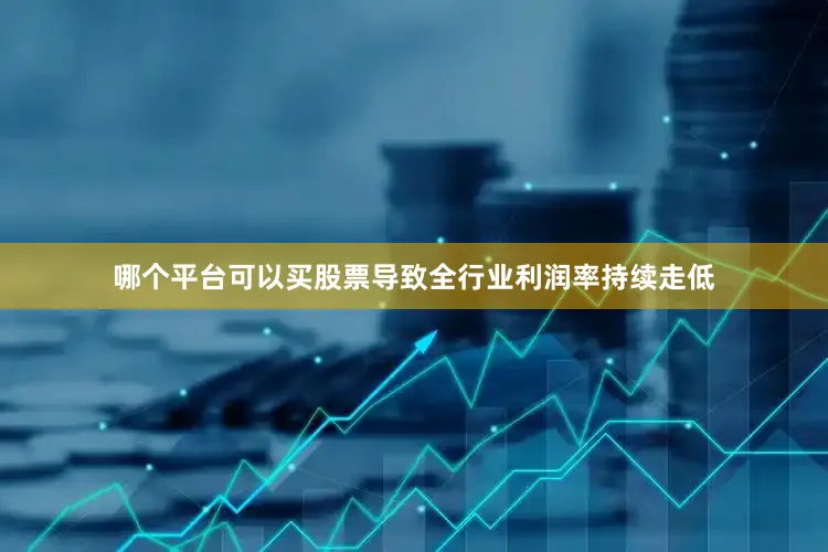 哪个平台可以买股票导致全行业利润率持续走低