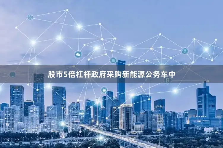 股市5倍杠杆政府采购新能源公务车中
