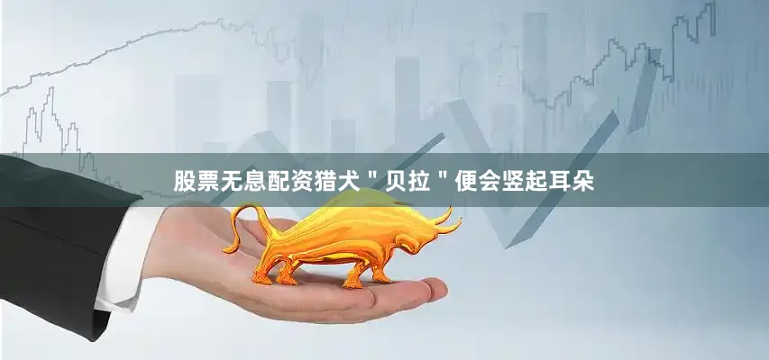 股票无息配资猎犬＂贝拉＂便会竖起耳朵