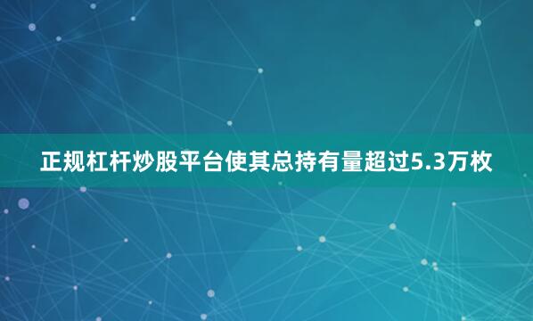 正规杠杆炒股平台使其总持有量超过5.3万枚
