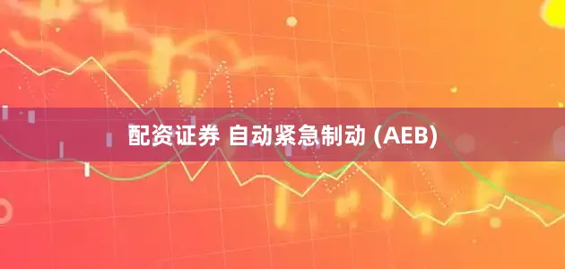 配资证券 自动紧急制动 (AEB)