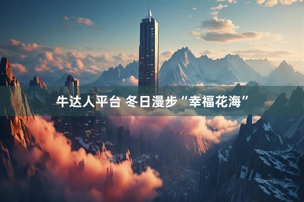牛达人平台 冬日漫步“幸福花海”